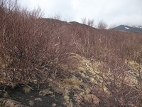 rra delle Concazze-201100508 085